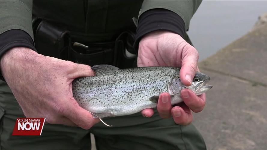 Division of Wildlife restocks Schoonover Lake with about 600 trout