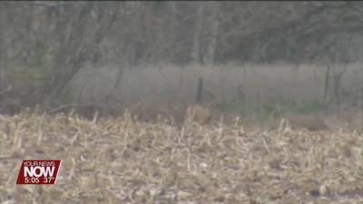 Ohio hunters got 70,118 deer during week long gun season