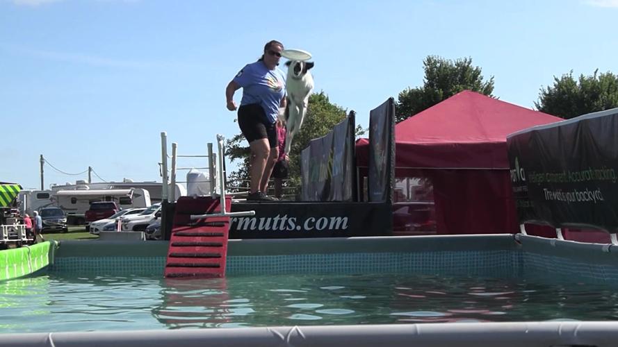 Free entertainment abound at the Allen County Fair