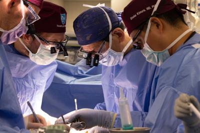 Pig Kidney Transplant