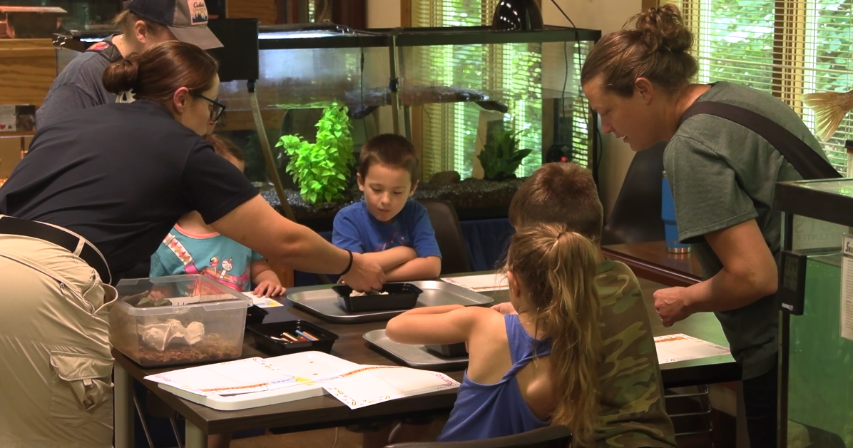 JAMPD invites kids to investigate invertebrates Aug 7, 2025 Aug 7, 2025 Updated 7 mins ago