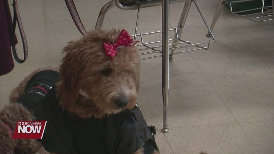 Delphos St. John's students feel Blessed not Stressed during day long event