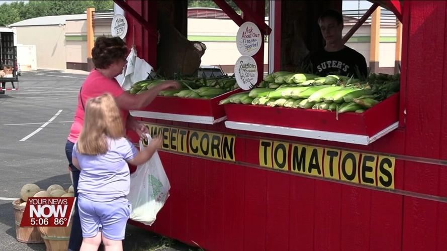 Sweet corn season is here