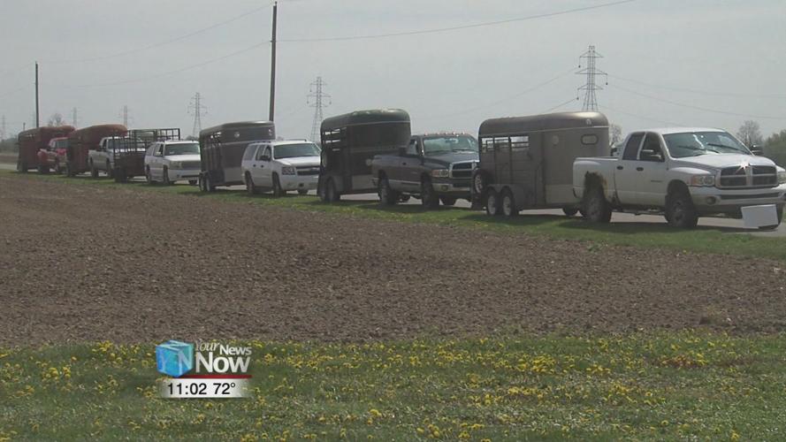 How local hog producers are keeping pork on the table amidst food plant shutdowns
