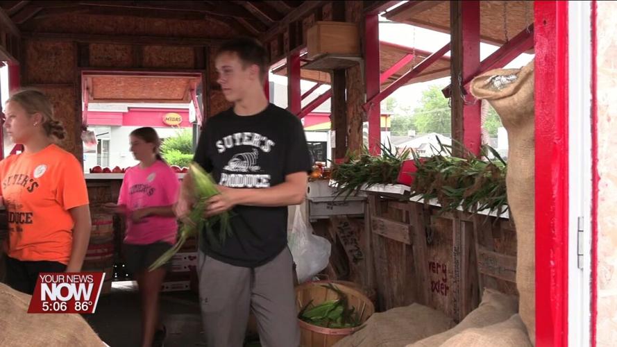 Sweet corn season is here