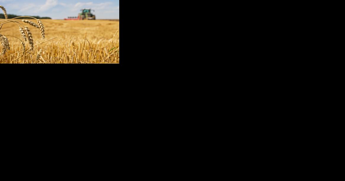 Agricultural Producers Have Until March 15 to Enroll in USDA's Key Commodity Safety Net Programs for the 2024 Crop Year | News - Vimarsana News