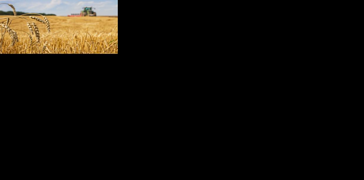 Farming Wheat Generic