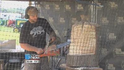 Chainsaw sculptures to be auctioned off