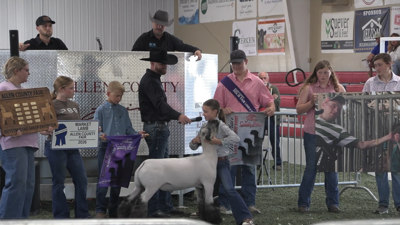 Allen County Fair junior livestock exhibitor donates auction earnings to scholarship