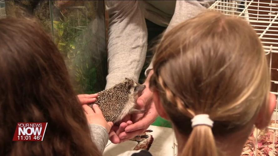 University of Findlay's Mazza Museum teaches kids about animals and their habitats