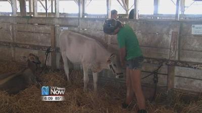 Fairgoers Work to Stay Cool at the Fair