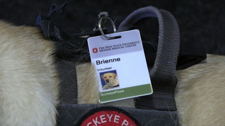 Buckeye Paws brings some happiness and smiles to OSU Lima students and faculty