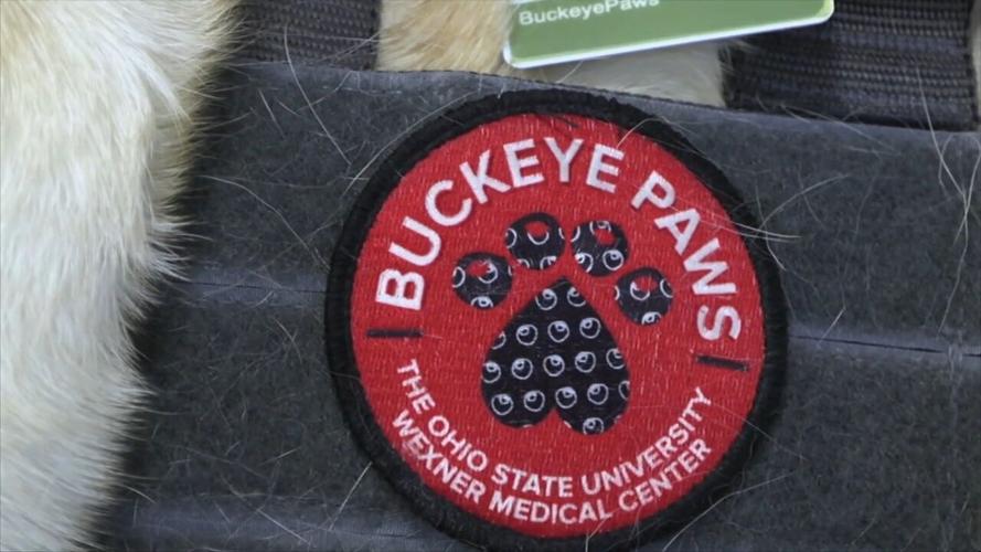 Buckeye Paws brings some happiness and smiles to OSU Lima students and faculty