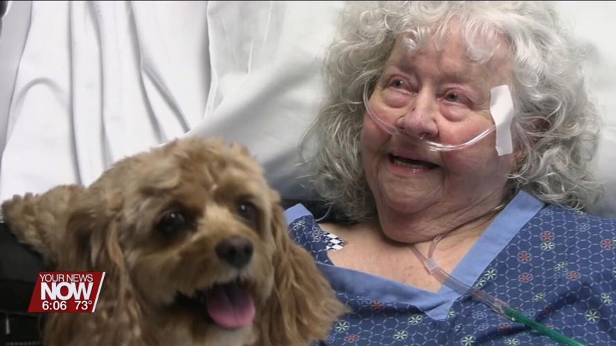 Dogs from the Welcome Waggers program comfort and bring smiles to patients at Mercy Health-St. Rita's