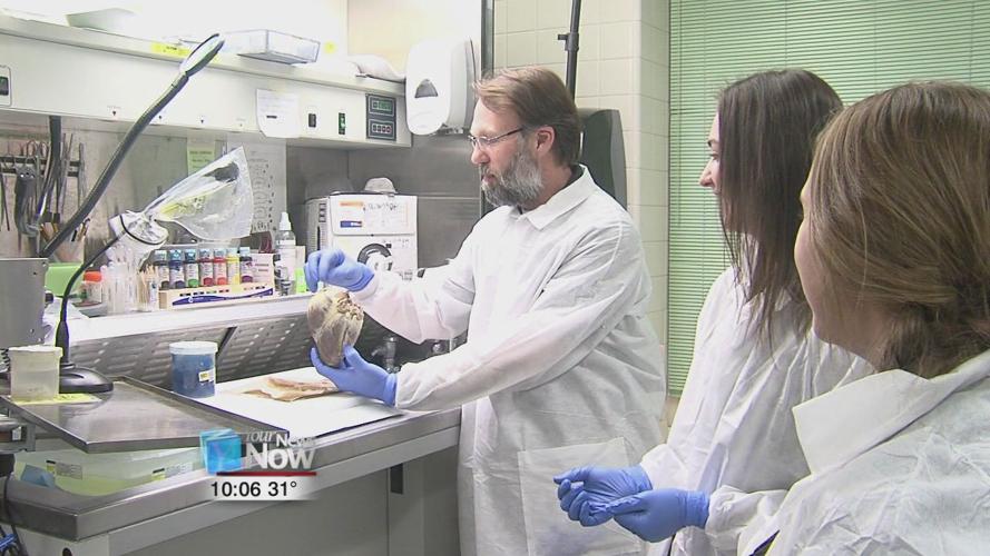 Students explore laboratory careers