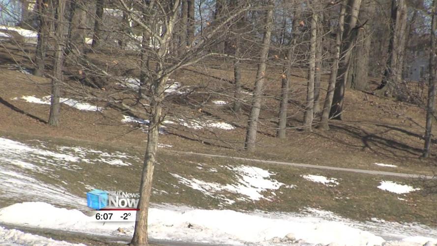 We may see fewer bugs later this year thanks to frigid temperatures 1.jpg