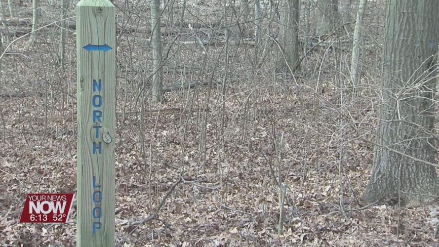 Hermon Woodlands trail reopens following diseased oak tree removal
