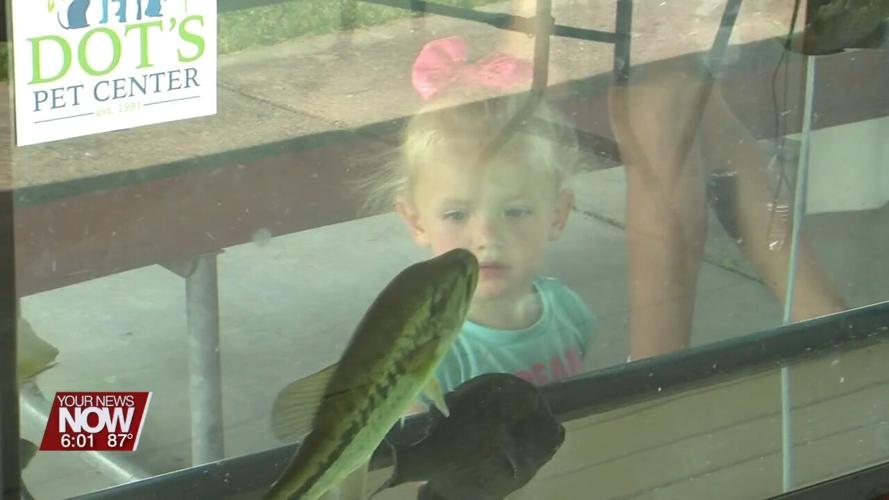 Johnny Appleseed parks celebrates 50 years with the community