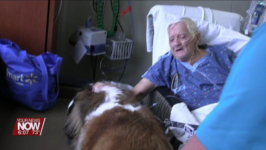 Dogs from the Welcome Waggers program comfort and bring smiles to patients at Mercy Health-St. Rita's