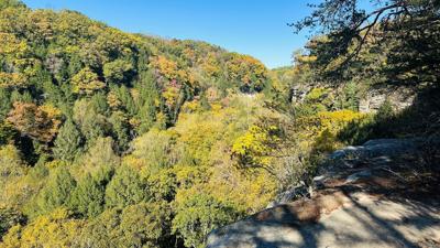 Ohio Fall Color in Spectacular Peak Condition for Upcoming Weekend
