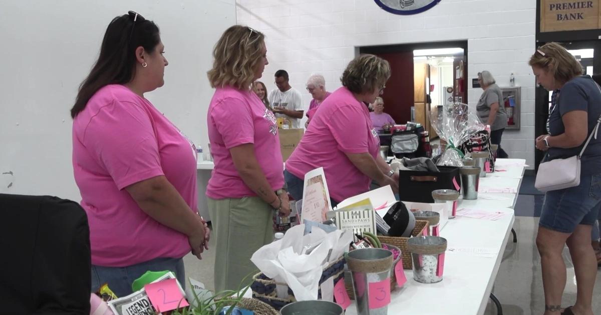 Ottawa-Glandorf hosts Elida for first-ever 'Pink Night Out' | Putnam ...