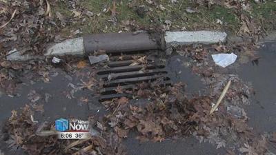 Leaves plug sewer drains, causing problems in Lima