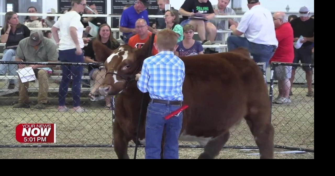 Auglaize County Junior Fair Livestock Sale rewards students for their hard work