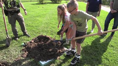 Buckeye tree planted at Ottawa Metro Park for Arbor Day, U.S. 250th anniversary