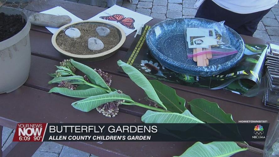 Allen County Master Gardeners give tips on making a home for butterflies in your yard