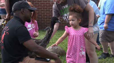 Things get wild at Alger Public Library with visit from Exotic Zoo