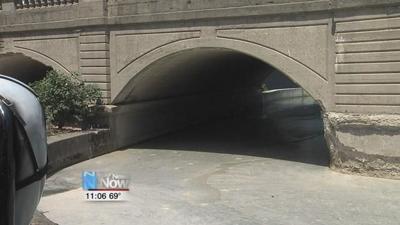 Blue Green Algae in St. Marys Canal