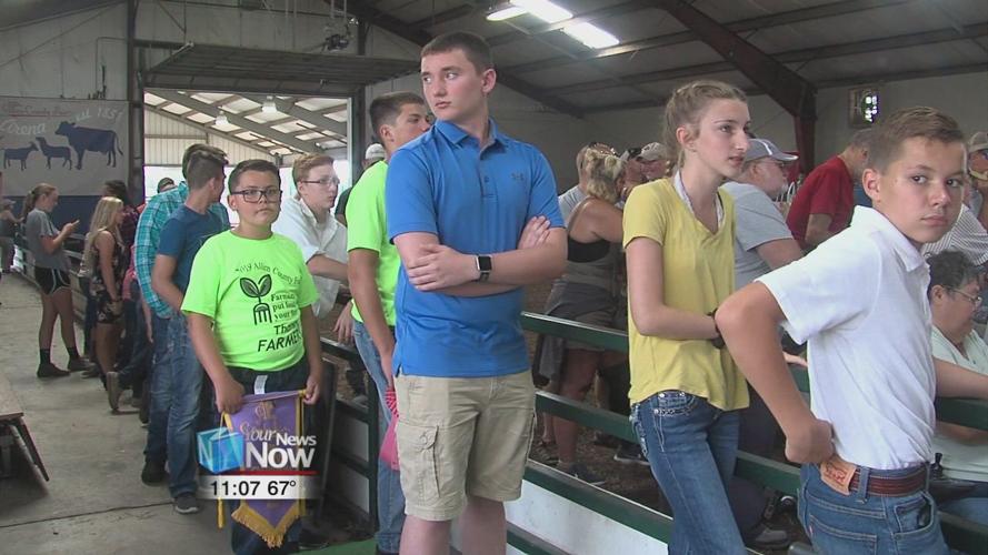 Chickens and Rabbits kick off two days of auctions at the fair 2.jpg