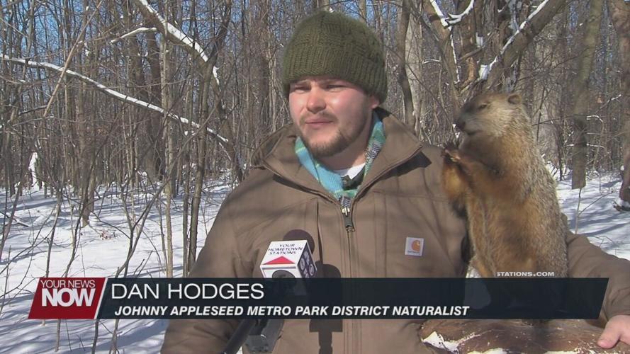 Celebrating Groundhog Day by learning more about the little forecasters