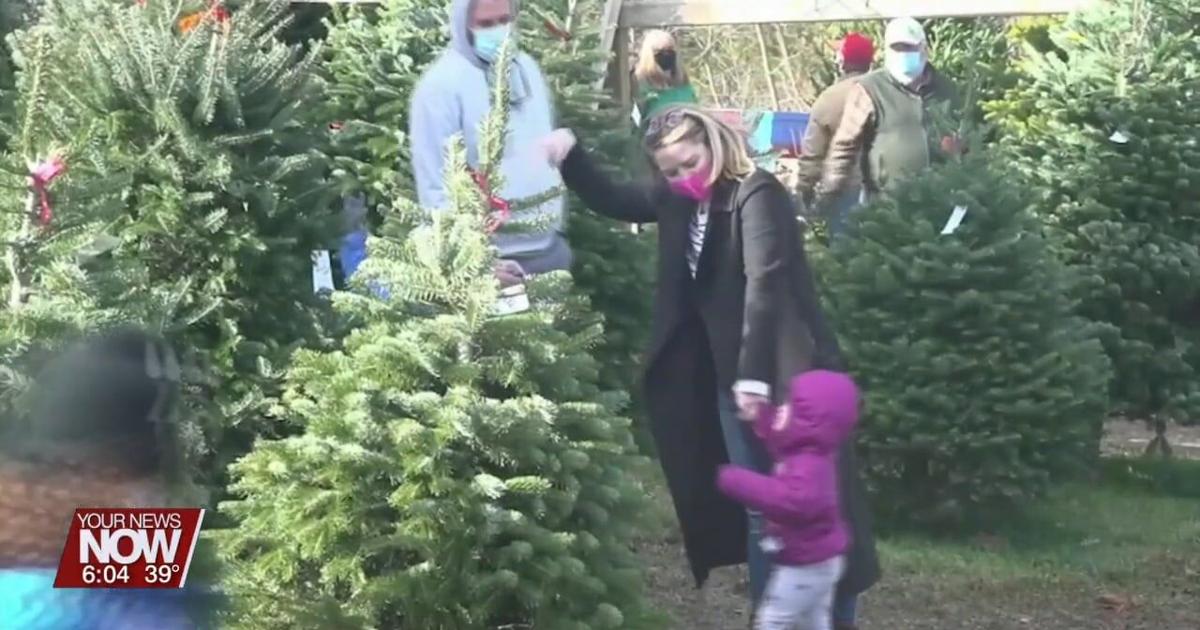 Rumpke Picking Up Discarded Live Christmas Trees In Lima Between Jan rumpke-picking-up-discarded-live-christmas-trees-in-lima-between-jan