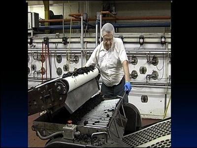 Homegrown, World Known Part 2