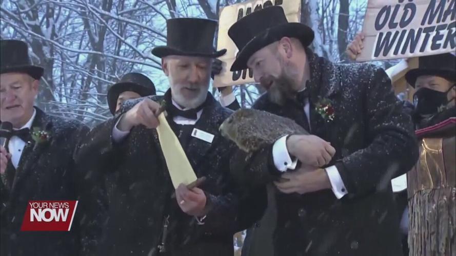 Celebrating Groundhog Day by learning more about the little forecasters