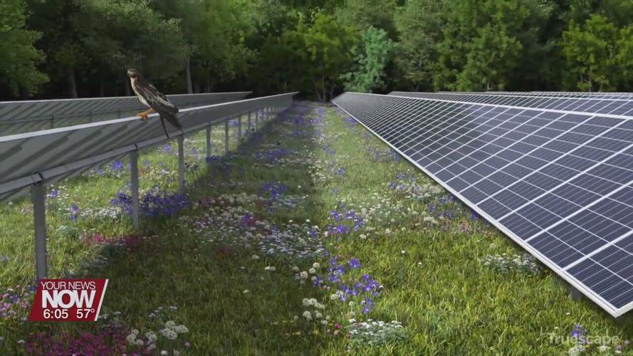 Outside firm hired to examine economic effect of Birch Solar Project