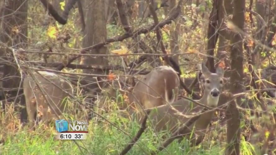 Ohio Deer Gun Season begins on Monday