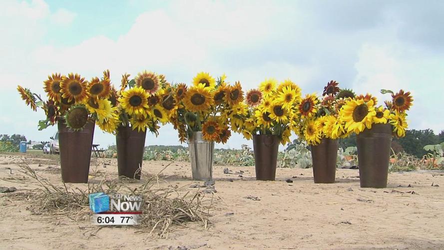 Suter Produce opens up for fall activities 3.jpg