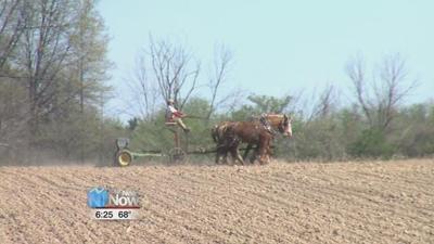 Old Fashioned Farm Days bring history to life