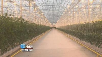 Greenhouse officially open in Wapakoneta