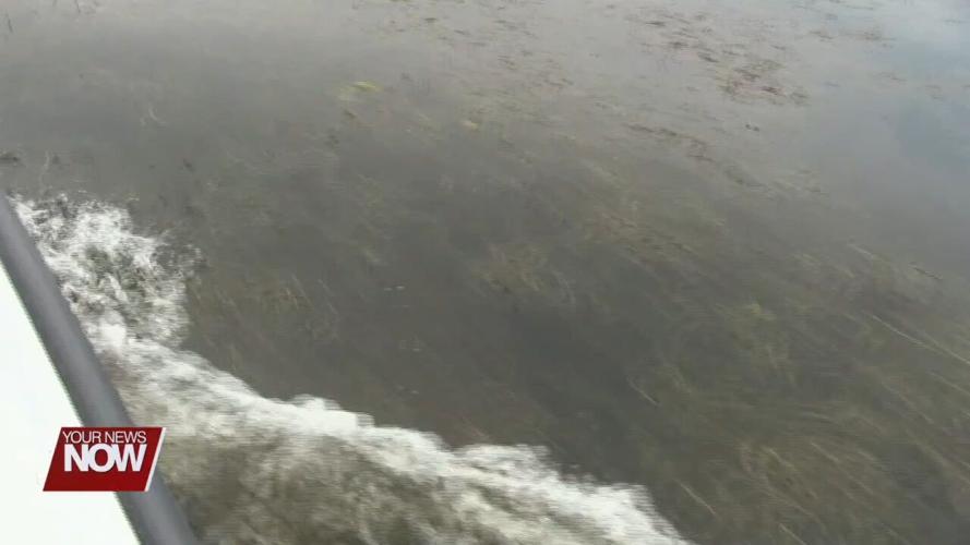 ODNR steps up communication about Indian Lake vegetation infestation