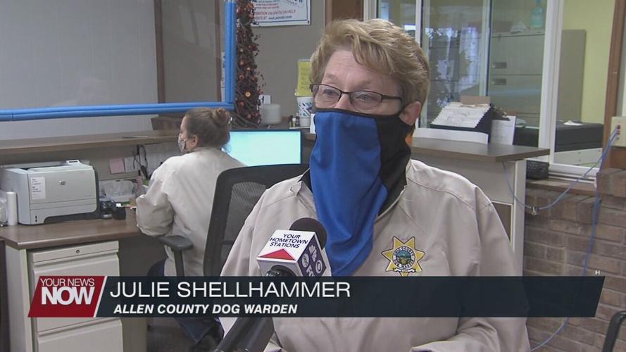 Reminder to dog owners: time to renew dog tags