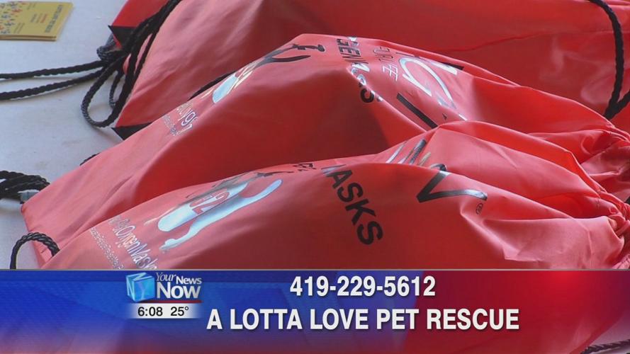 A Lotta Love Pet Rescue helping keep pets and owners together