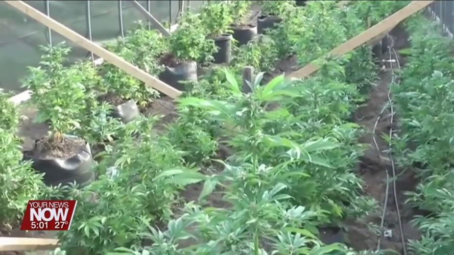 Governor DeWine calling upon Ohio House to pass marijuana legislation