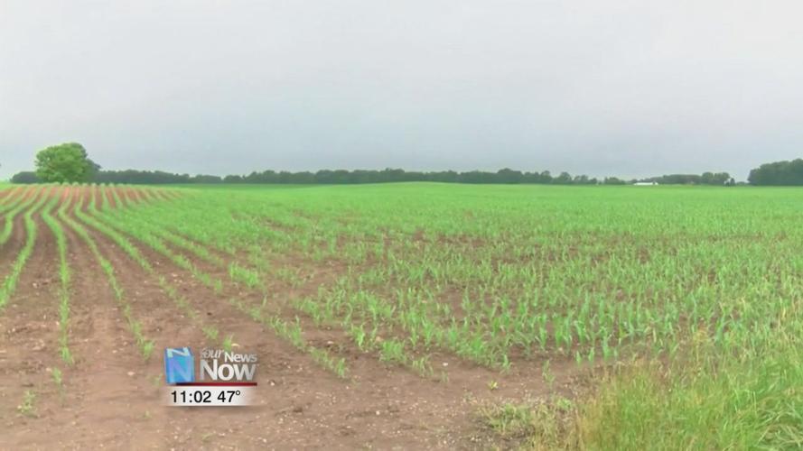 Ag-Link helps you reduce interest rates on your farming business loans