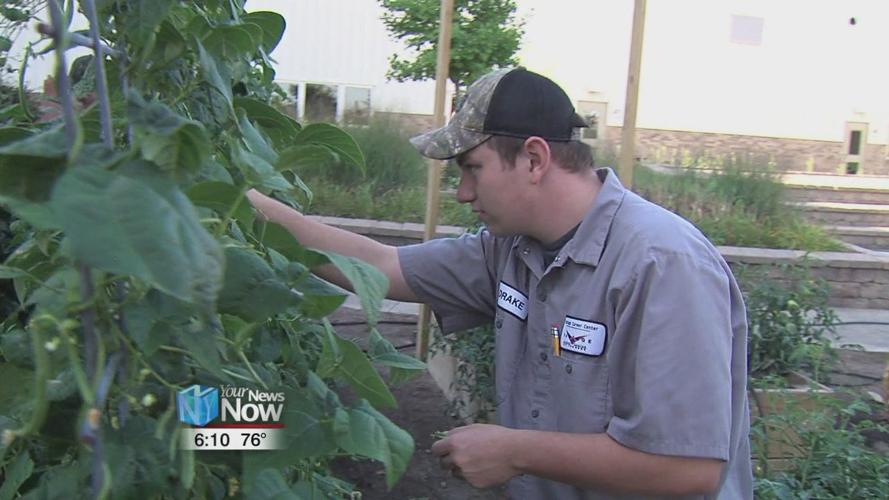 Vantage Career Center Community Garden 2.jpg