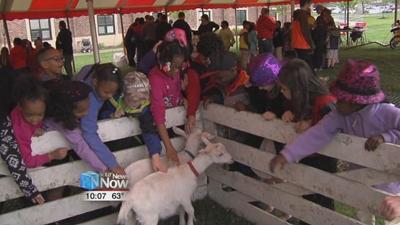 Farm Day at Lima South Science and Technology Magnet