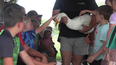 Things get wild at Ottoville Library with exotic animals