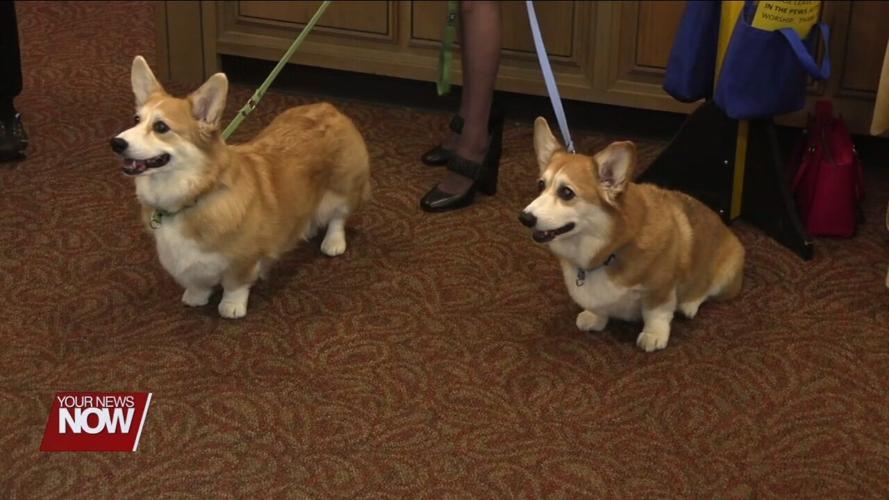 Congregation of Zion Lutheran Church celebrates choir director's 40th year of service